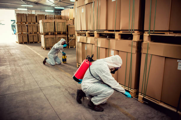 Best Termite Control Services  in Hudson, NY