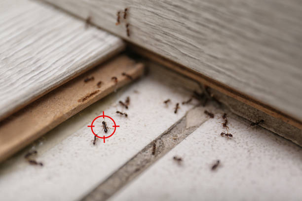 Best Pest Removal Services  in Hudson, NY