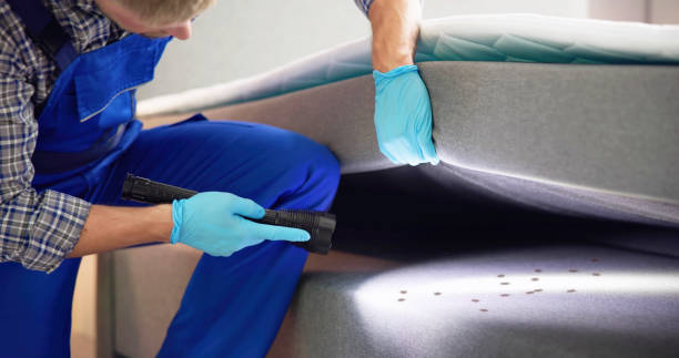 Professional Pest Control in Hudson, NY