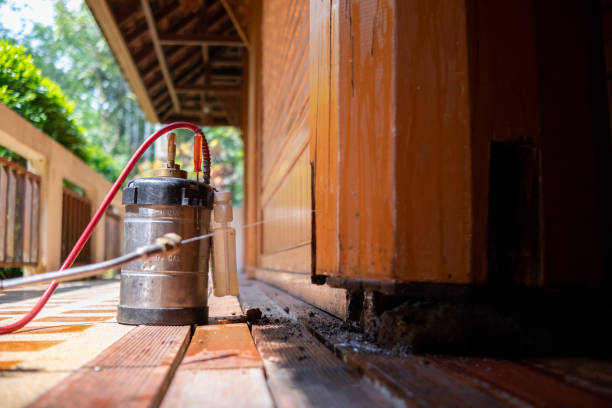 Best Ant Control Services  in Hudson, NY