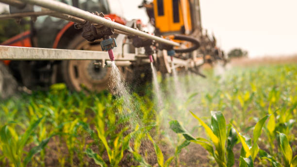 Best Ant Control Services  in Hudson, NY