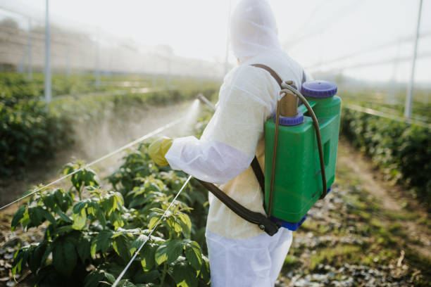 Trusted Hudson, NY Pest Control Experts